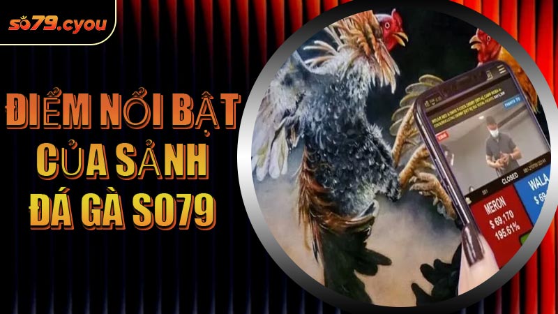 Điểm nổi bật của sảnh Đá Gà SO79