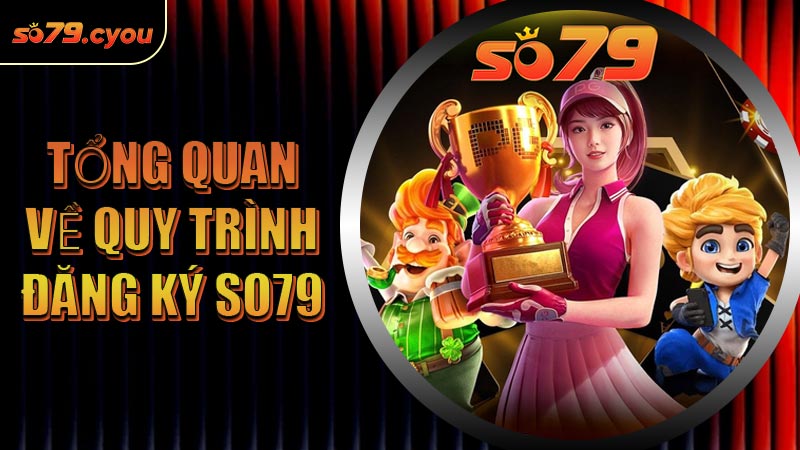 Tổng quan về quy trình đăng ký SO79