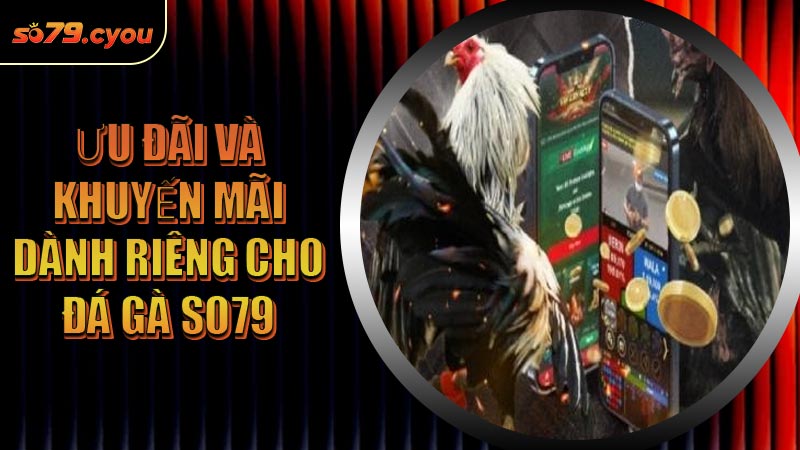Ưu đãi và khuyến mãi dành riêng cho Đá Gà SO79